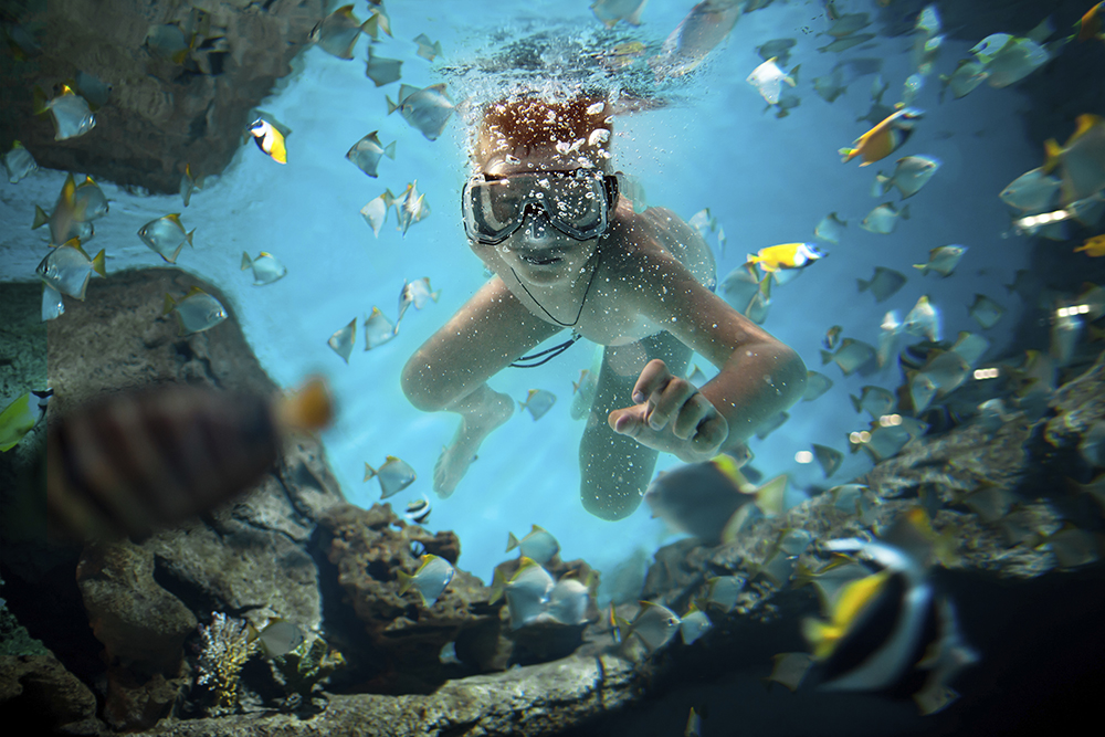 freedive along the brain coral