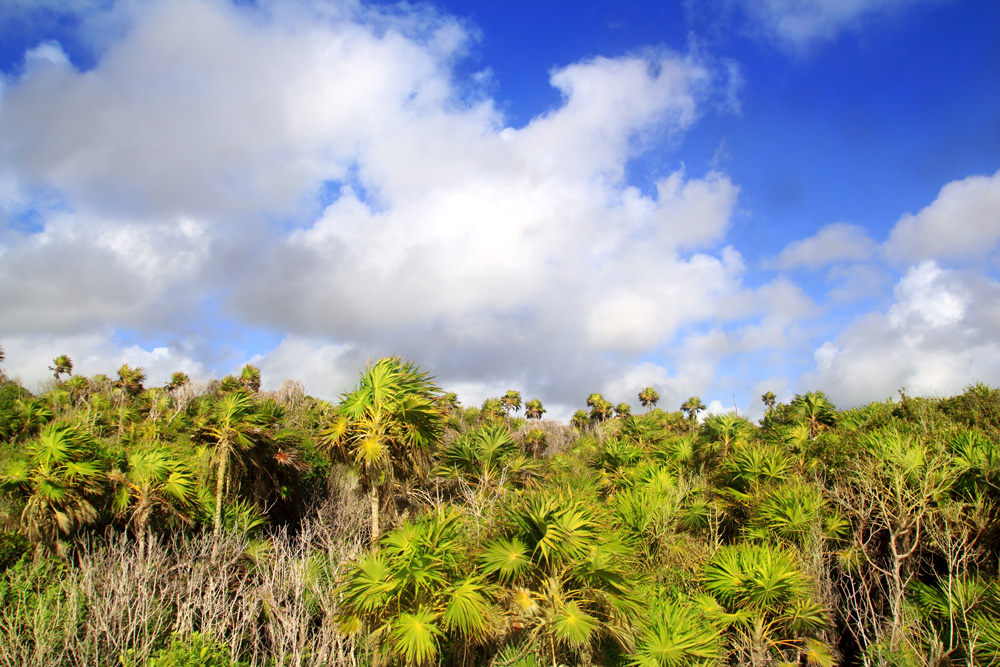 The future of ecotourism in Sian Kaan