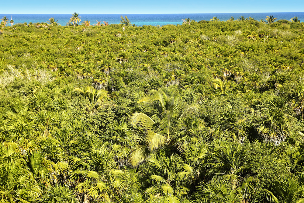 The Sian Ka’an Biosphere