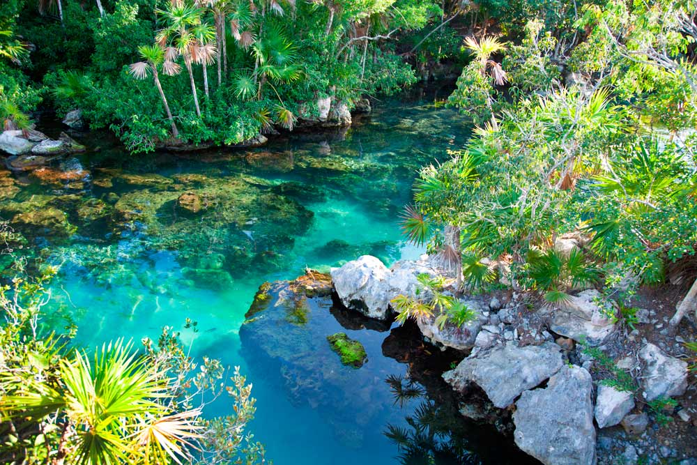 Sian Ka’an’s Sacred Sinkholes