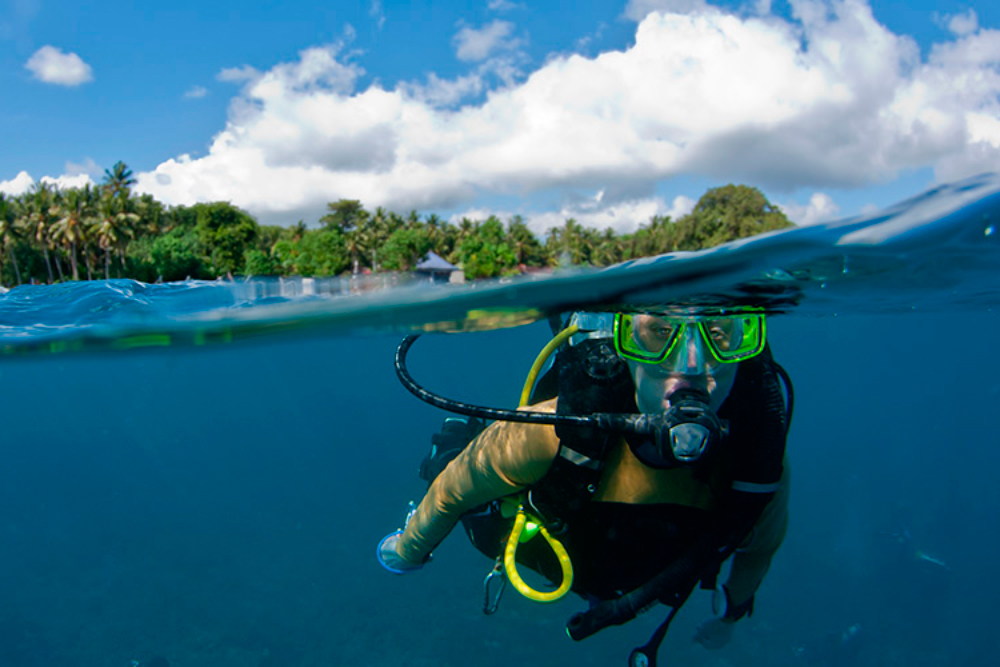 Paradise Diving Adventure