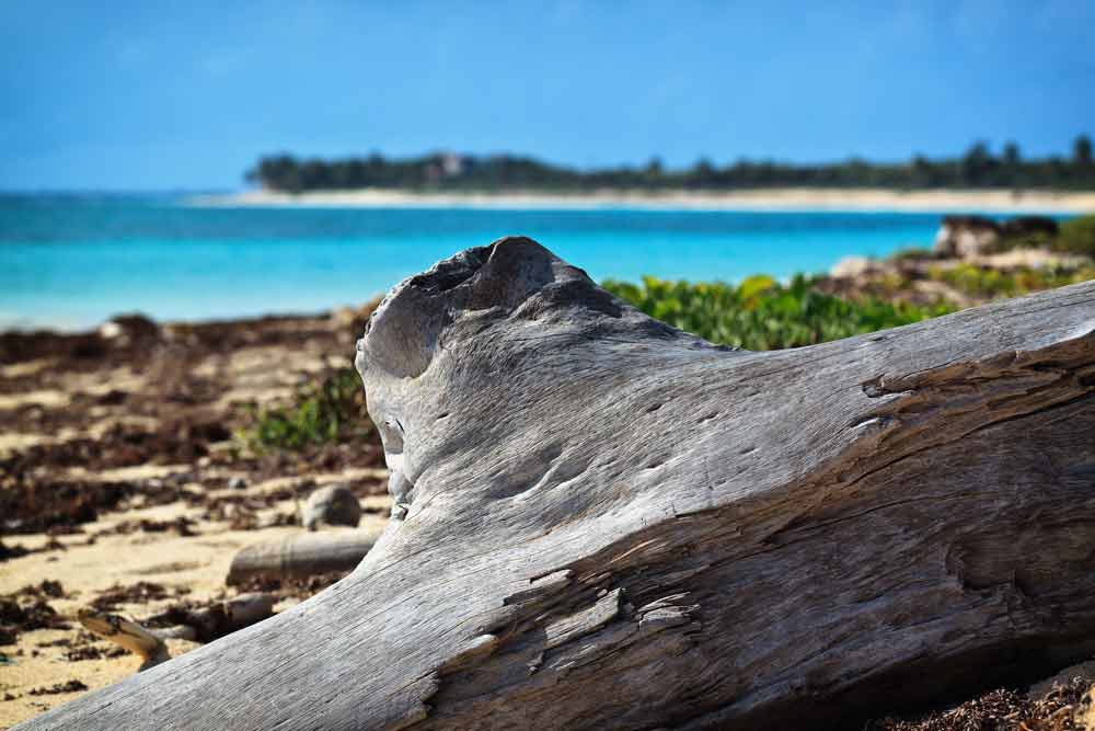 sian Ka’an Ecotourism