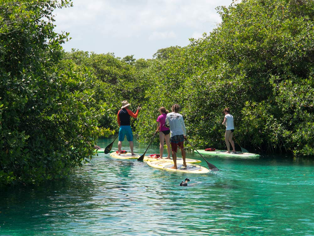 Why Protecting Biodiversity is so important