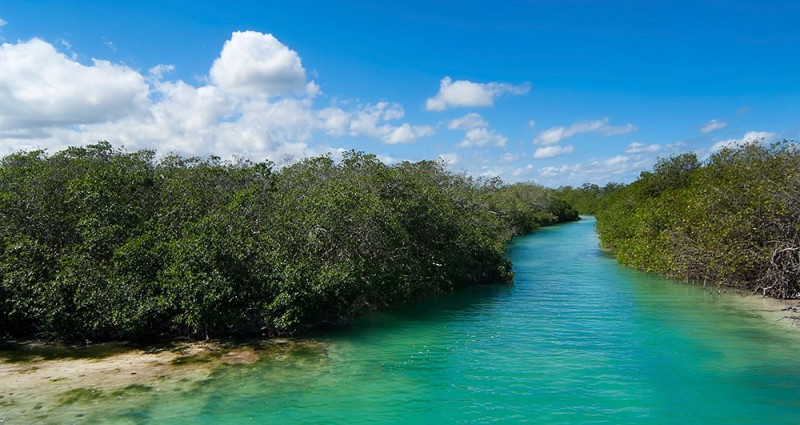 1. How have ecosystems changed? 1. How have ecosystems changed?