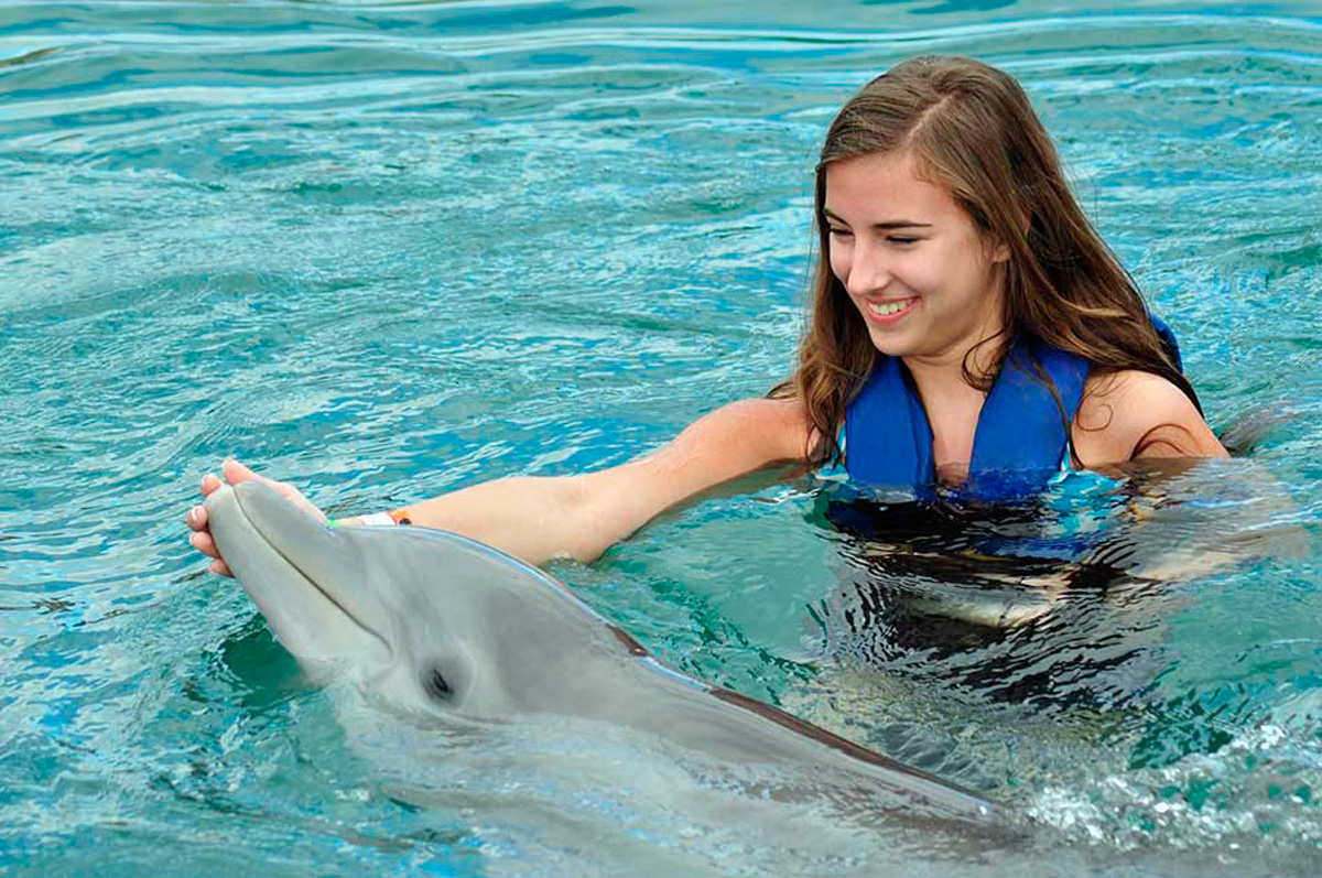 costa maya dolphin excursions