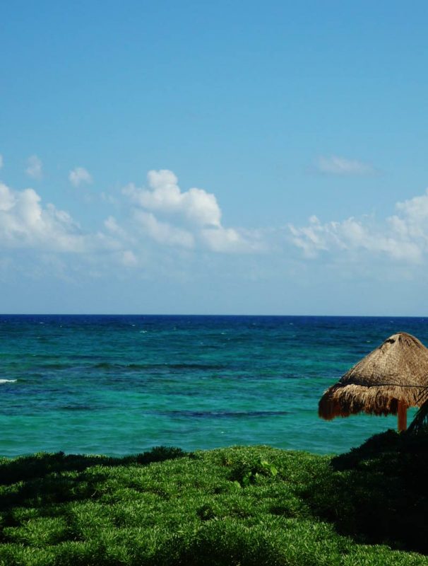 Mesoamerican Reef