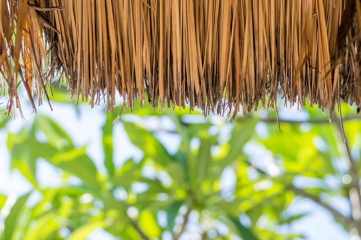 Palapas and sustainable architecture at the beach