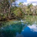 World Wetlands Day