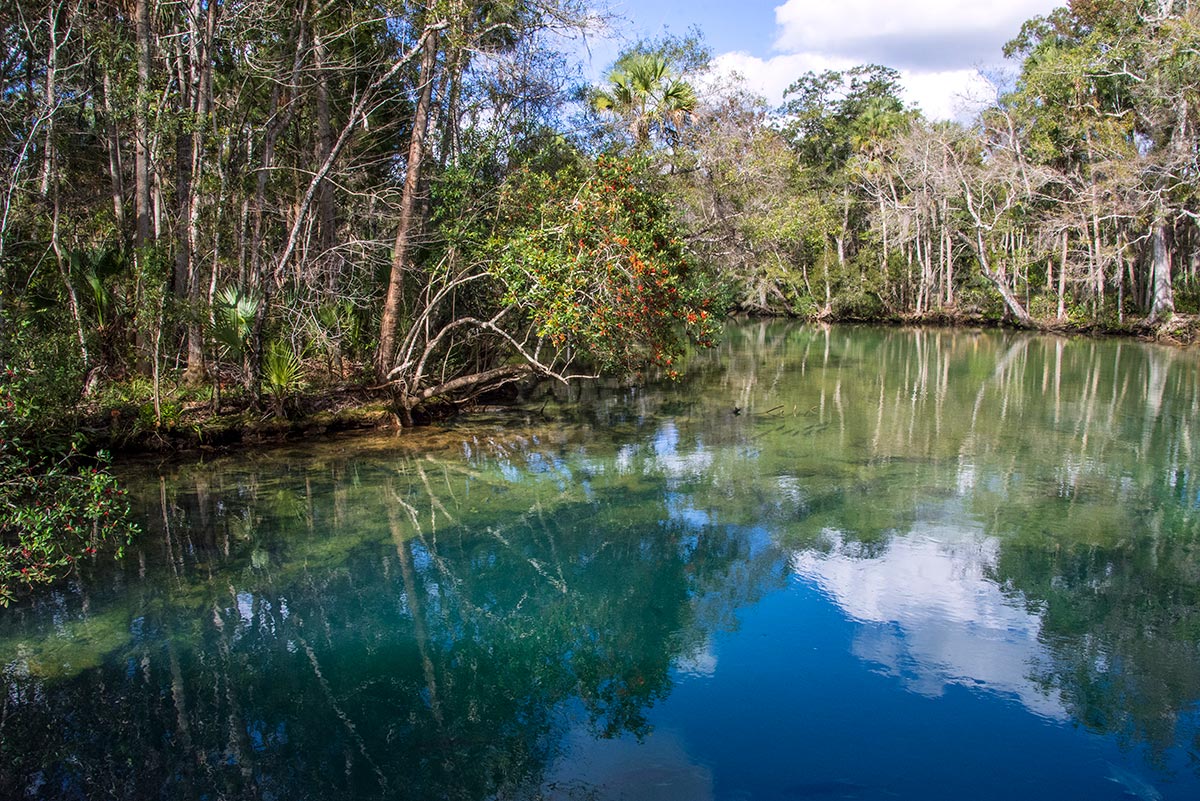 World Wetlands Day