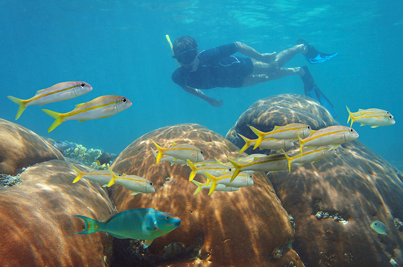 Riveting Dive Sites