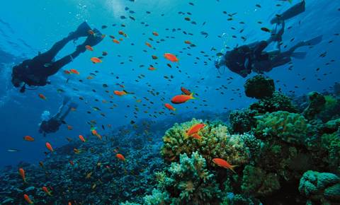 Ecological Diving Sian Ka'an Village