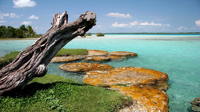 Sian Ka'an Biosphere Quintana Roo